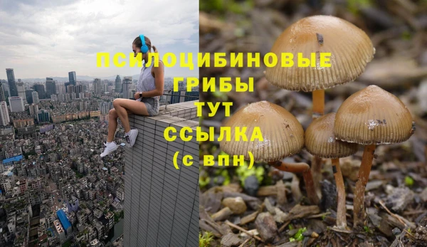 эйфоретик Пересвет