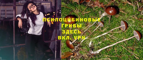 эйфоретик Пересвет
