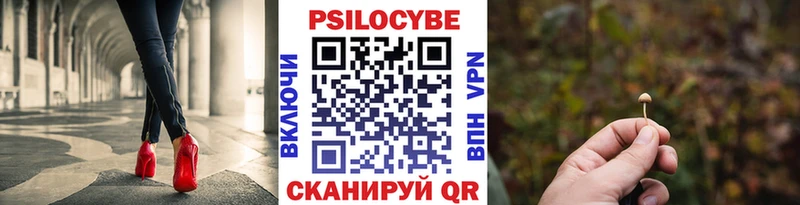 Псилоцибиновые грибы GOLDEN TEACHER  Дмитриев 