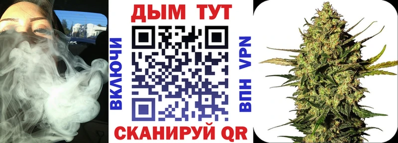 Бошки Шишки AK-47  как найти закладки  Дмитриев 
